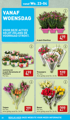  rozen geranium tulpen 4 6 23 woensdag stad staand hangend garden 99 gardenline pack geraniums bos dianthus trosanjers bekijk 