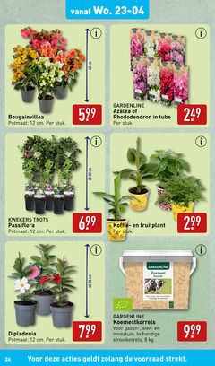  8 12 24 40 cm gardenline garden bougainvillea potmaat stuk azalea rhododendron tube kwekers trots passiflora koffie banana dipladenia koemest korrels gazon sier moestuin gewicht koemestkorrels gazonmest bio 