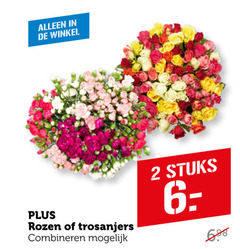  2 rozen trosanjers combineren stuks 