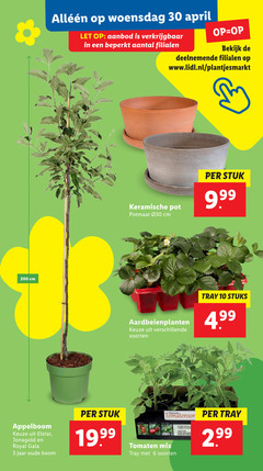  3 6 10 30 200 cm woensdag let aanbod beperkt bekijk www.lidl.nl keramische pot potmaat 030 stuk aardbeienplanten soorten tray stuks appelboom elstar jonagold royal gala jaar oude boom tomaten mix 