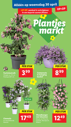  30 45 woensdag let aanbod beperkt plantjes markt hoogte ca. cm potmaat stuk 3.99 campanula hanging basket clematis kleuren wandhanger bloemen petunia fuchsia bacopa bidens 