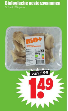  150 biologische oesterzwammen schaal bio 14 