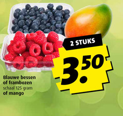  frambozen mango blauwe bessen 2 100 schaal stuks 
