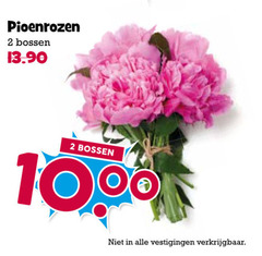  pioenrozen 2 1000 bossen vestigingen 