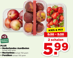  2 400 750 vouchers nederlandse aardbeien schaal nectarines perziken mix schalen 5.99 