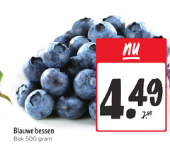  blauwe bessen 500 bak 