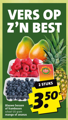  ananas blauwe bessen mango frambozen 2 vers best monte dei charmante gold schaal stuks 