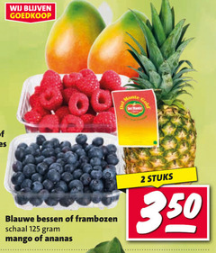  frambozen ananas mango blauwe bessen 2 350 schaal monte stuks 