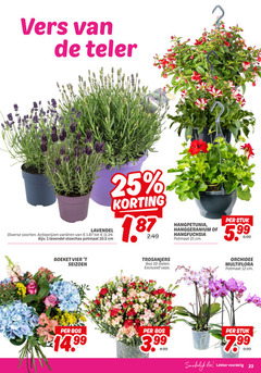  1 10 12 23 25 vers teler lavendel soorten varieeren stoechas potmaat cm hangpetunia hanggeranium stuk 5.99 boeket vier seizoen trosanjers bos stelen vaas 3.99 orchidee multiflora eten 