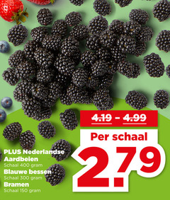  blauwe bessen aardbeien bramen 150 279 300 400 nederlandse schaal 
