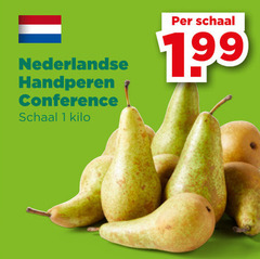 peren 1 nederlandse handperen conference schaal kilo 