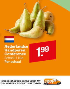  peren 1 40 nederlandse handperen conference schaal kilo online 