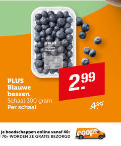  blauwe bessen 40 300 schaal online 