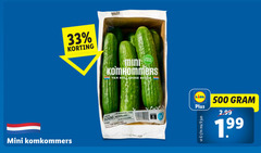  snackkomkommer 1 6 9 33 500 mini hollandse bodem nederland r komkommers 