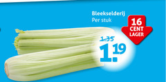  bleekselderij 16 stuk cent 