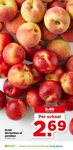  1 nectarines perziken schaal kilo plus.nl 