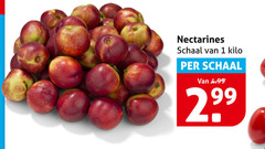  1 nectarines schaal kilo 