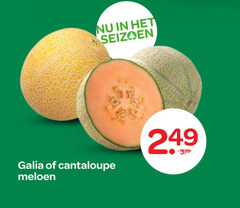  seizoen galia cantaloupe meloen 