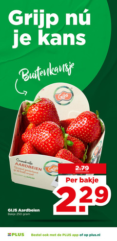  aardbeien 250 grijp kans buitenkansje b smaakvolle gijs bakje plus.nl 