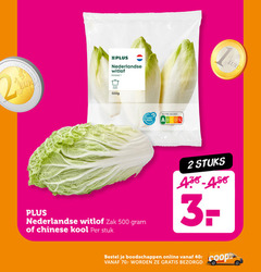  chinese kool witlof 1 2 40 500 nederlandse klasse planet proof nutri score zak stuk stuks online 