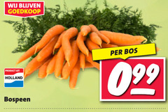  holland bospeen bos 