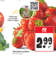  aardbeien 400 stuk teler rick koppen nederlandse bak 