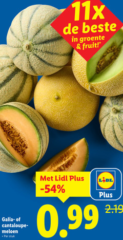  meloen groente fruit galia cantaloupe stuk 