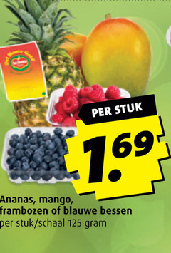  ananas blauwe bessen frambozen mango stuk schaal 
