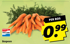  holland bospeen bos 
