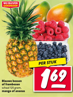  blauwe bessen frambozen schaal mango ananas 00 stuk 