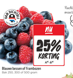  25 250 300 500 hit nederland blauwe bessen frambozen bak 
