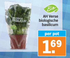  basilicum bio verse biologische pot 