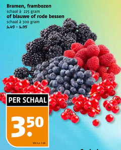  225 300 350 bramen frambozen schaal blauwe rode bessen kilo v.a. 
