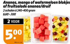  2 ananas mango watermeloen blokjes fruitsalade druif schalen 50 kilo v.a. 
