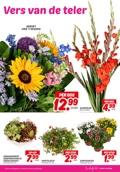  5 12 17 20 vers teler boeket vier seizoen arrangement sempervivum vogelschaal potmaat cm winkels tuinafdeling bos gladiolen stelen 5.99 stuk chrysanten eten 