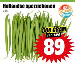  sperziebonen 500 hollandse bodem 