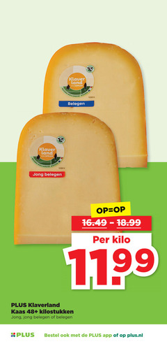  klaverland kaas weiden klaver land holland gouda belegen hollandse jong kilo 48 plus.nl 