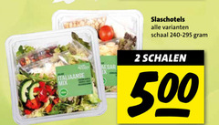  2 500 italiaanse mix slaschotels schaal schalen 