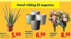  13 14 18 22 50 vrijdag vera potmaat cm hoogte ca. 5.99 keramische pot modern veldboeket gladiolen stelen 