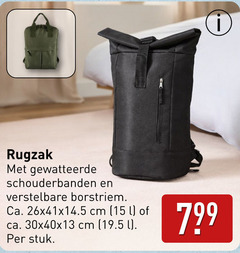  15 rugzak gewatteerde schouderbanden verstelbare borstriem ca. cm l stuk 