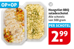  500 bbq saladeschotel schotels schotel 