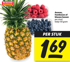  blauwe bessen ananas frambozen 00 stuk bakje 