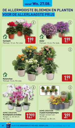  3 6 12 allermooiste bloemen planten cyclaam potmaat cm stuk kalanchoe home creation kunstplant orchidee hoogte ca. pack kunstplantjes varieert nederland kassa 
