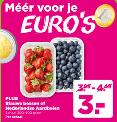  blauwe bessen aardbeien 3 nederlandse schaal 