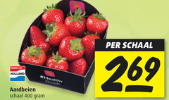  400 holland healthy goods aardbeien schaal 