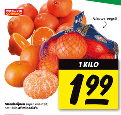  mandarijnen 1 nieuwe oogst super kilo 
