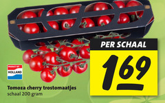  200 holland cherry trostomaatjes schaal 