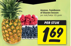  blauwe bessen ananas frambozen stuk bakje 