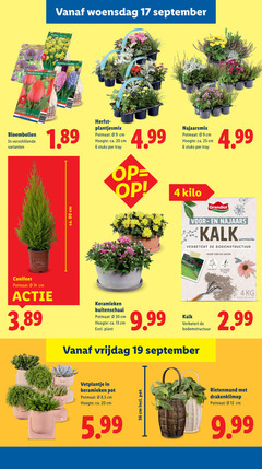  hyacinten bloembollen tulpen narcissen 4 6 12 13 14 17 19 20 25 36 80 8x darwin orange woensdag narcissus hyacinthus mix ca. cm herfst potmaat hoogte stuks tray kilo najaars kalk bodemstructuur tuin gazon ph grond conifeer keramieken buitenschaal 030 plant vrijdag vetplantje pot 5 5.99 rietenmand 