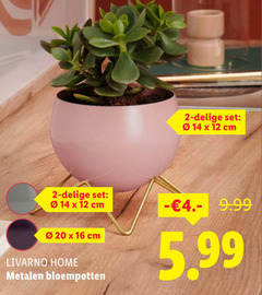  bloempotten 2 12 14 16 20 cm livarno home metalen 5.99 